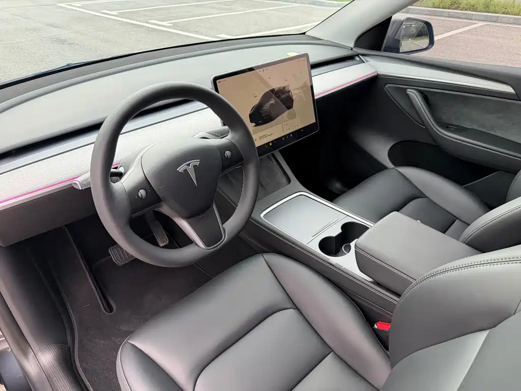 Tesla Model Y — миниатюра 6
