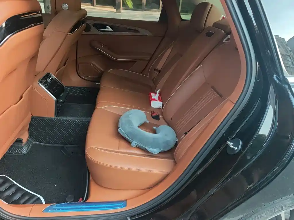 Hongqi Hongqi H9 — миниатюра 13