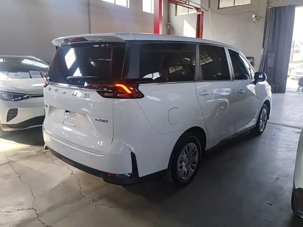 MAXUS G50 — миниатюра 7