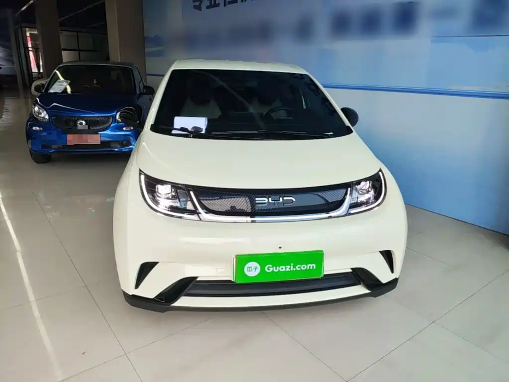 BYD Dolphin 2025 420km Freedom