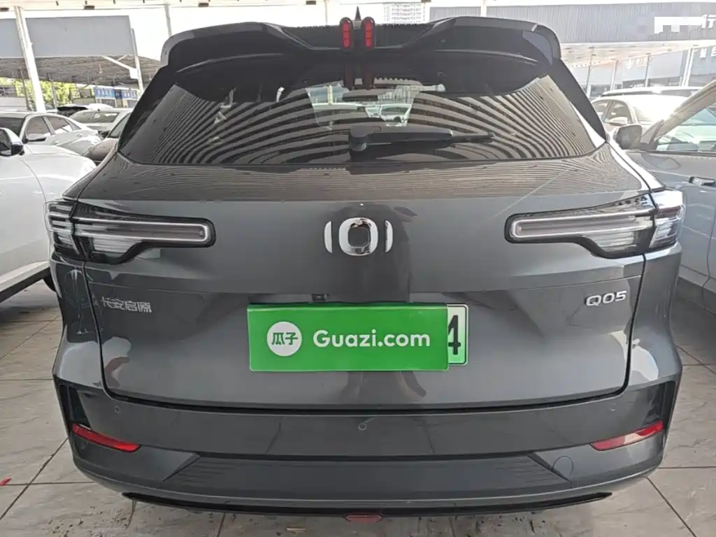 Qiyuan Чанг Ан Кай Q05 классика. — миниатюра 6