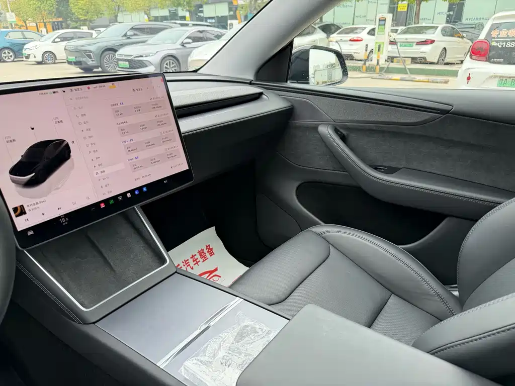 Tesla Model Y — миниатюра 6