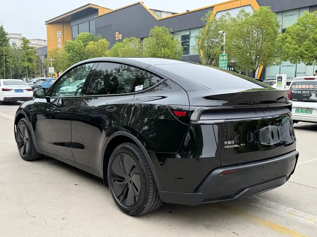 Tesla Model Y — миниатюра 17