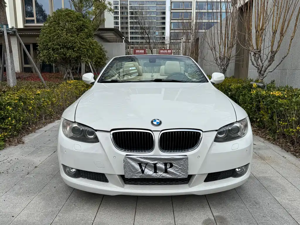 BMW 3 Series (Import) 2010