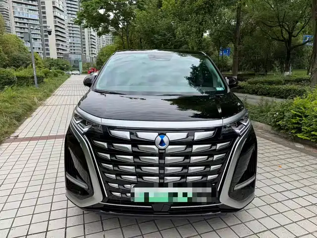 2024 Denza D9