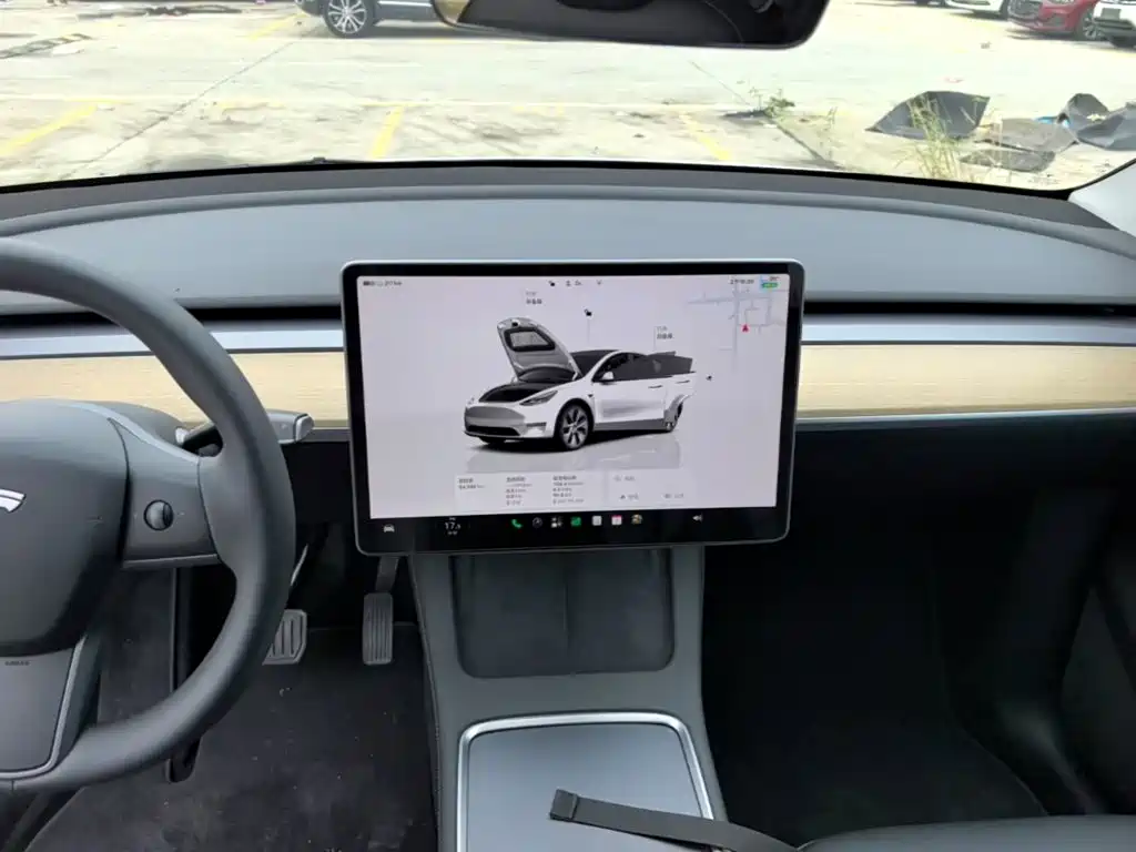 Tesla Model Y — миниатюра 13