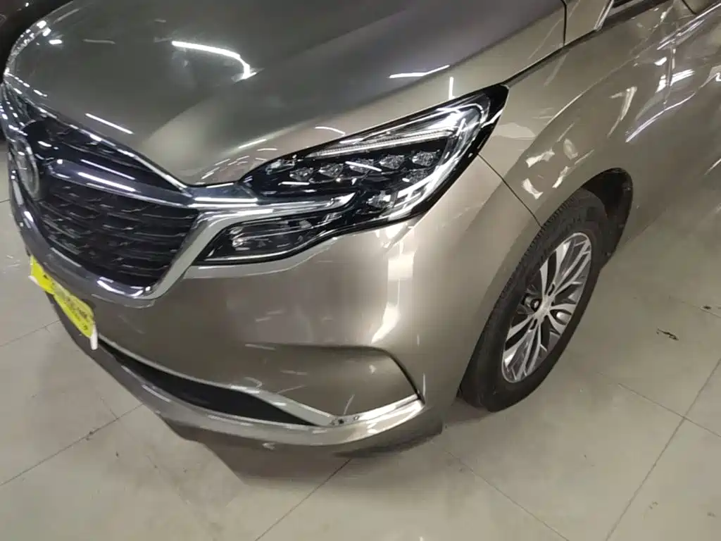 Buick GL8 — миниатюра 24