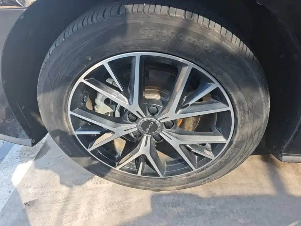BYD e9 — миниатюра 23