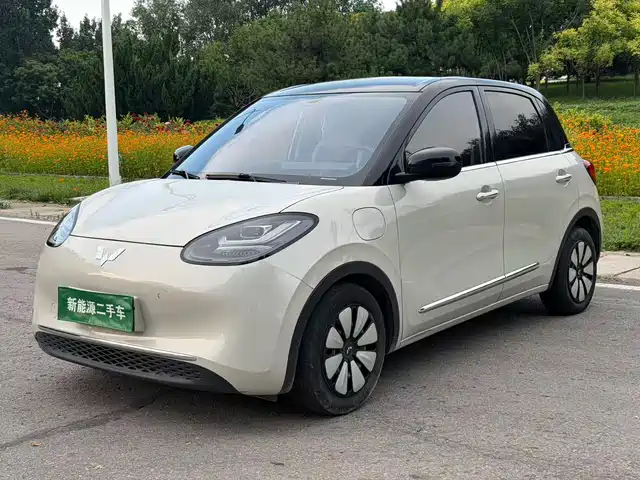 2024 Wuling Motors Binguo