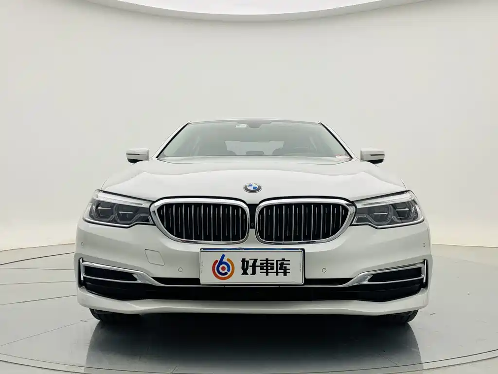 BMW 5 Series 5 2020 530Li Premium Luxury