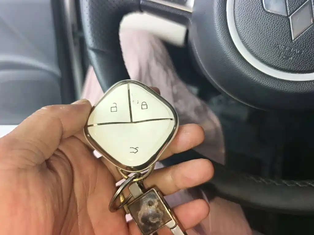 Wuling BinguoPLUS PLUS 2024 330km мест