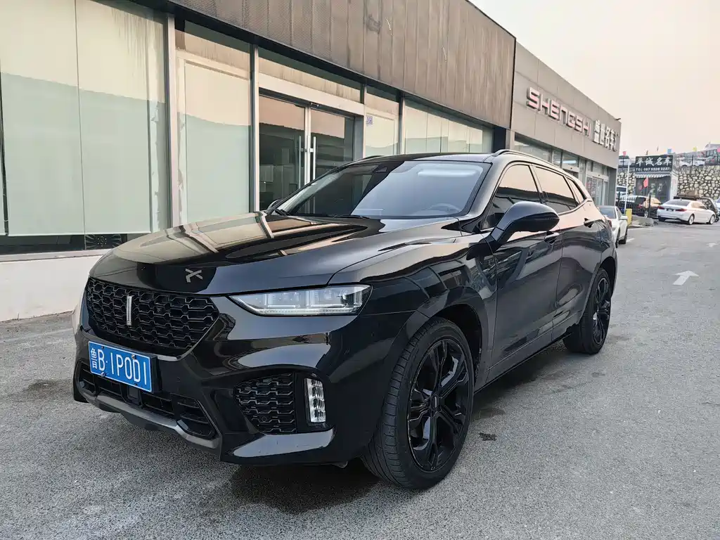 WEI PAI WEI BRAND VV7