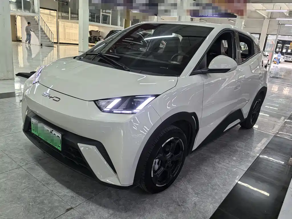 Byd Seagull 2024