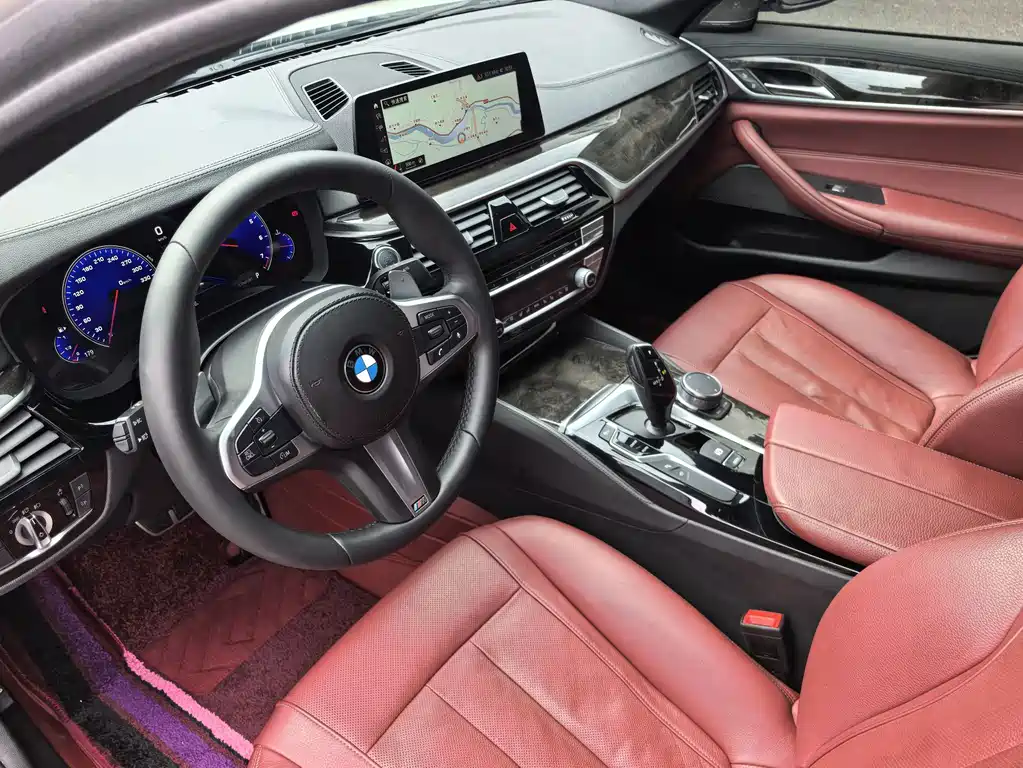 BMW 5 Series 5 2019 530Li Premium M Sport