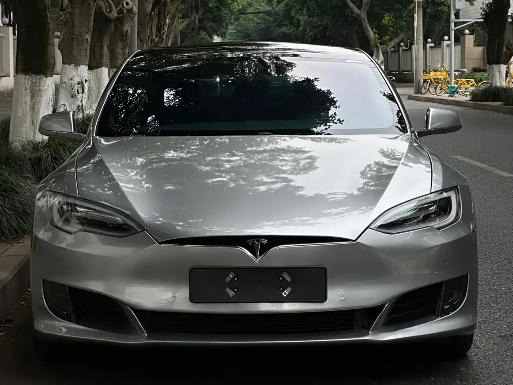 Tesla Model S — миниатюра 2