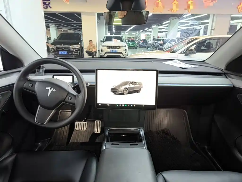 Tesla Model Y — миниатюра 10
