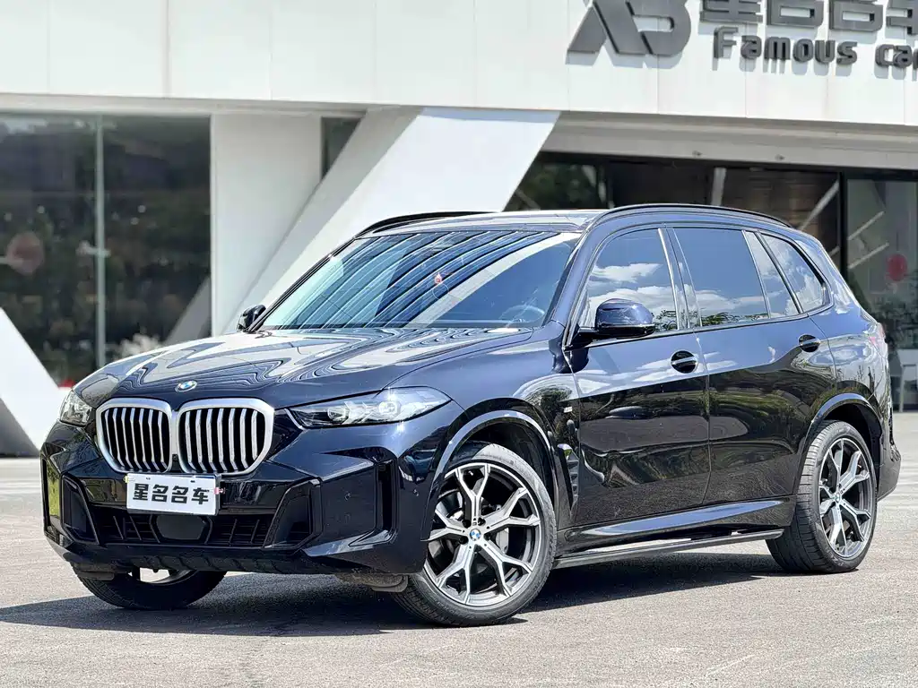 BMW X5 — миниатюра 11