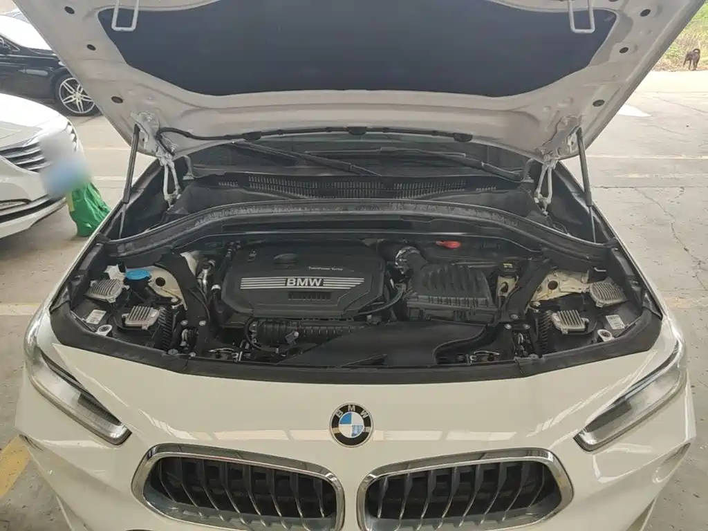 BMW X2 (Import) — миниатюра 20