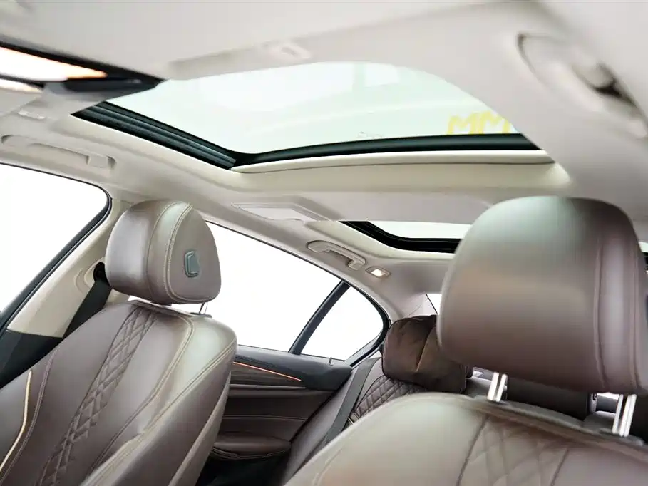 BMW 5 Series 5 2019 530Li Premium Luxury