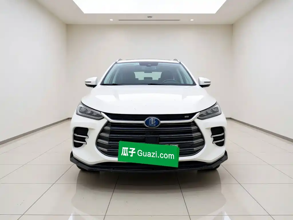 BYD Tang New Energy — миниатюра 2
