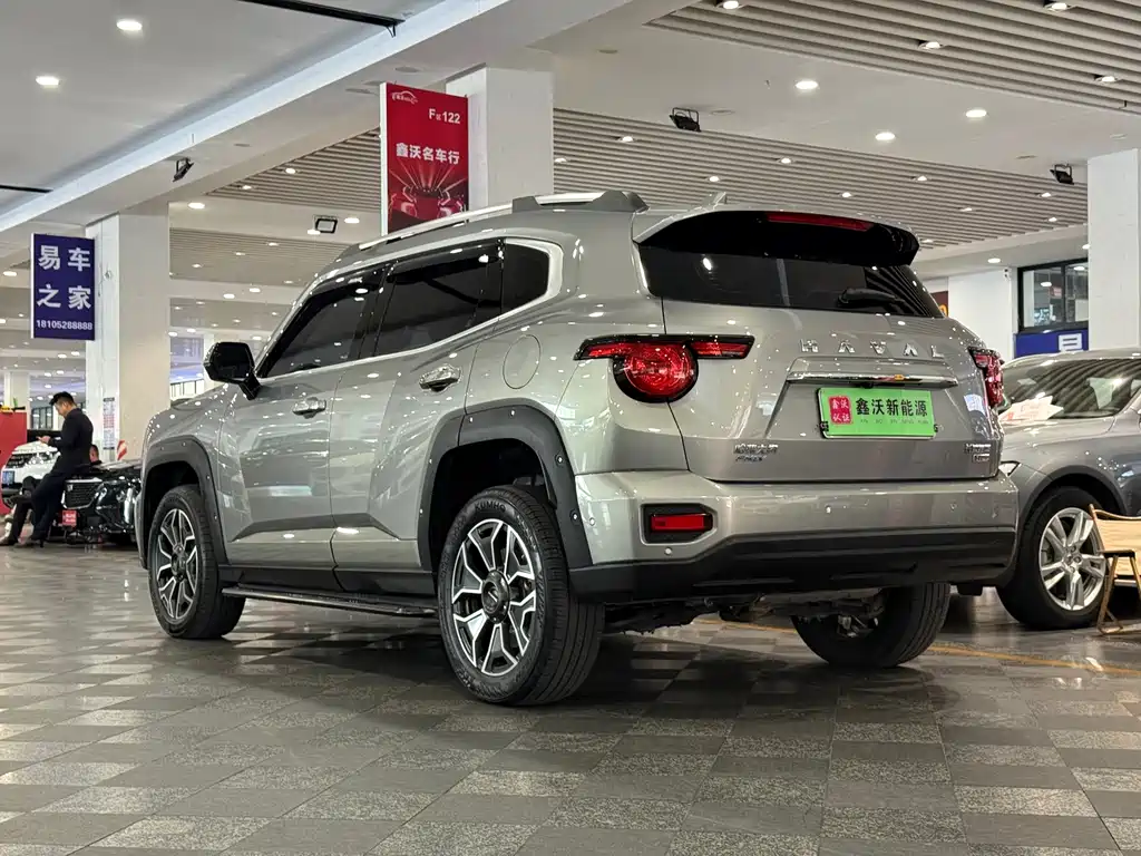 Haval Big Dog PLUS New Energy — миниатюра 5