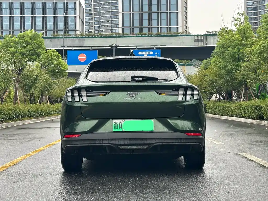 Ford Mustang Mach-E — миниатюра 5