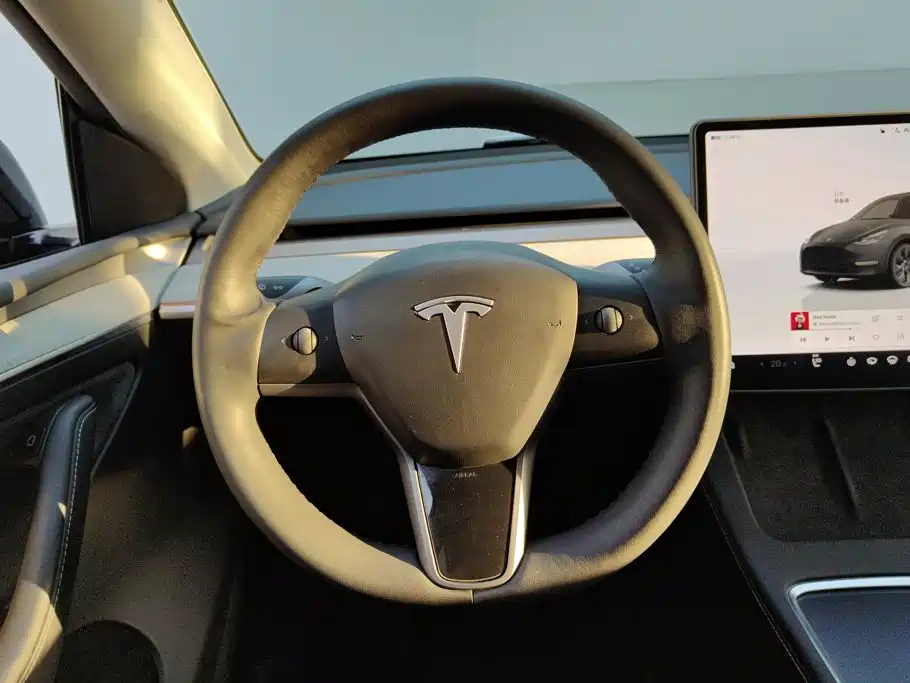 Tesla Model Y — миниатюра 15