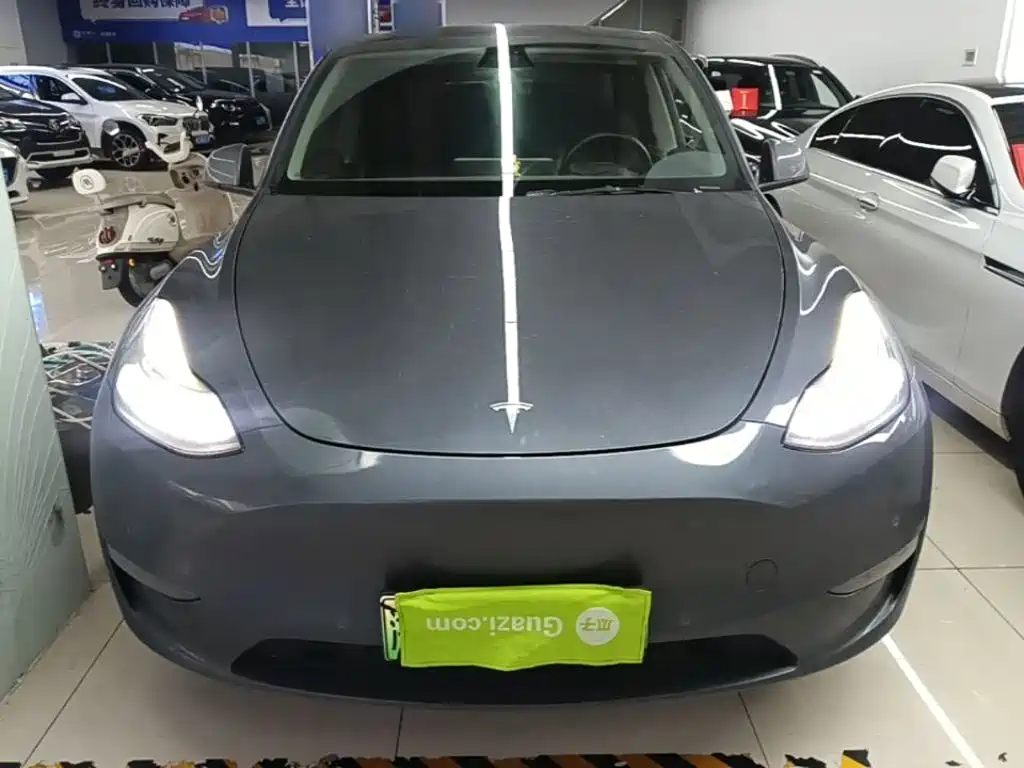 Tesla Model Y — миниатюра 3