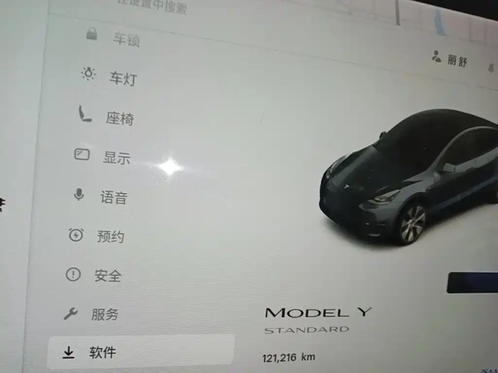 Tesla Model Y — миниатюра 11