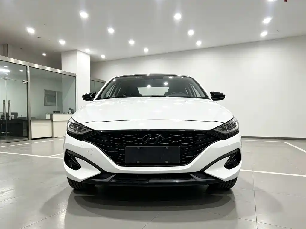 Hyundai Fista — миниатюра 2