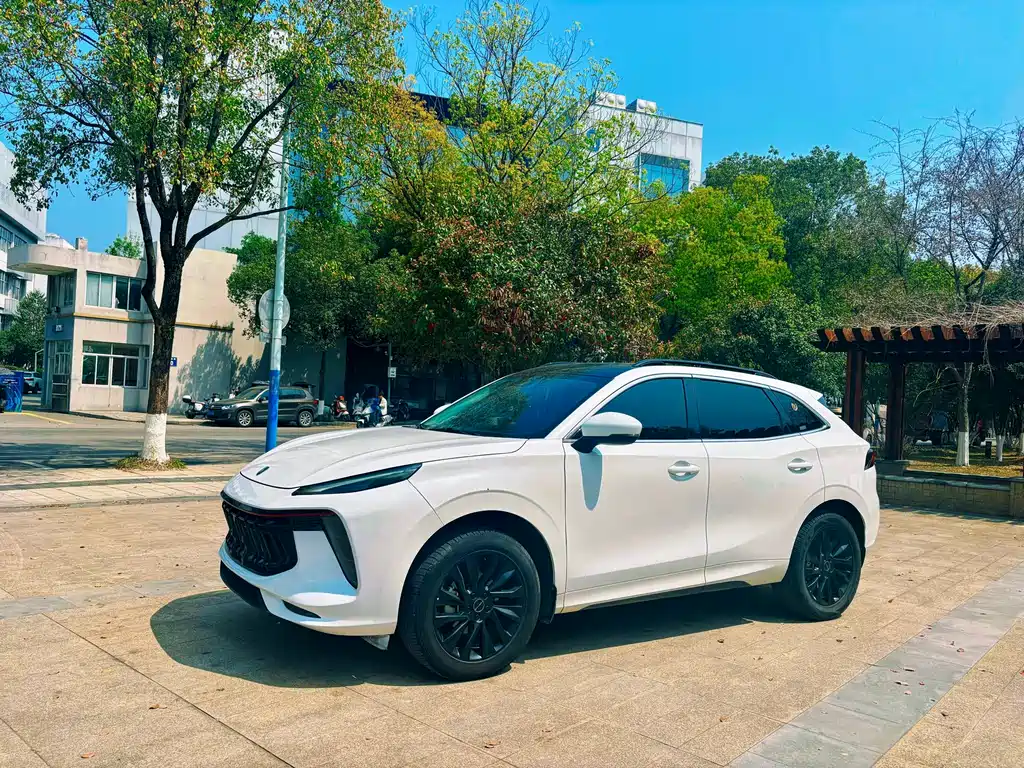 Fengxing Fengxing T5 EVO 2022