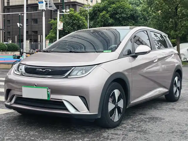 2023 BYD Dolphin