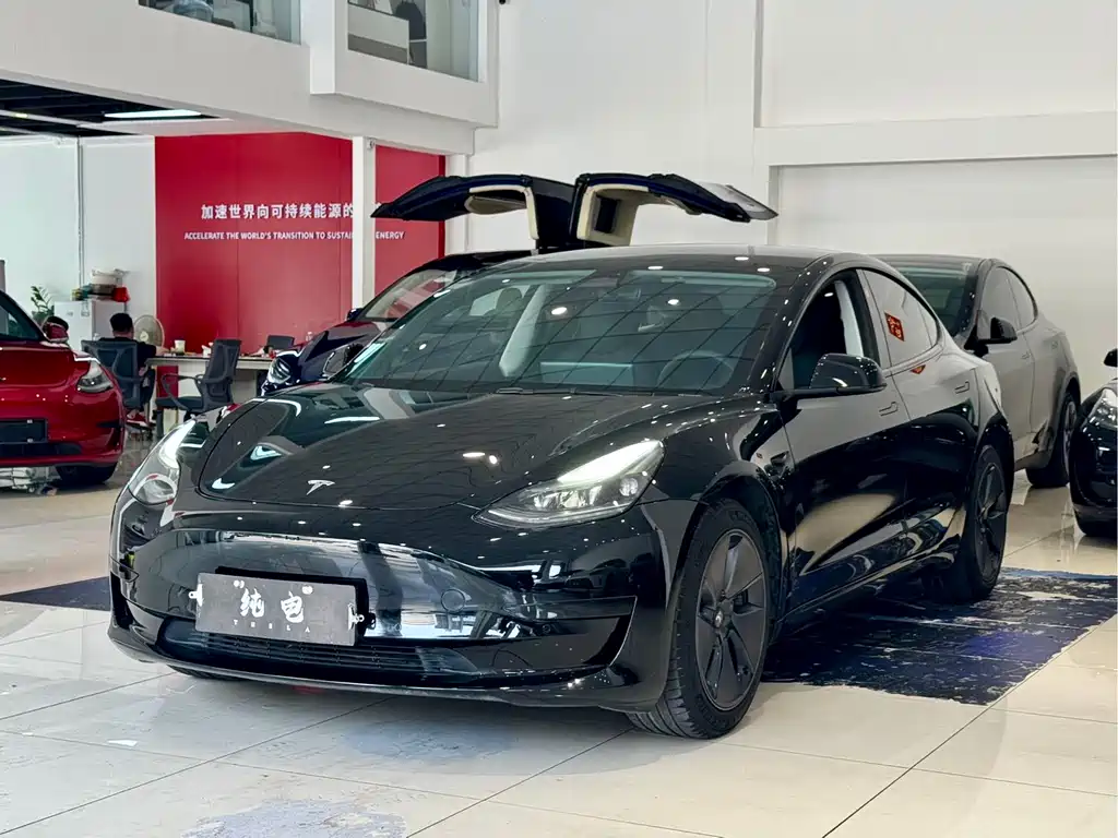 Tesla Model 3 2022