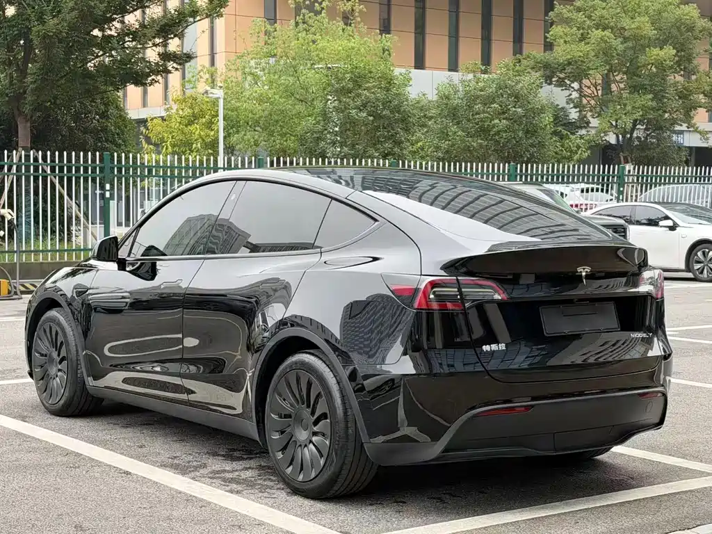 Tesla Model Y — миниатюра 4