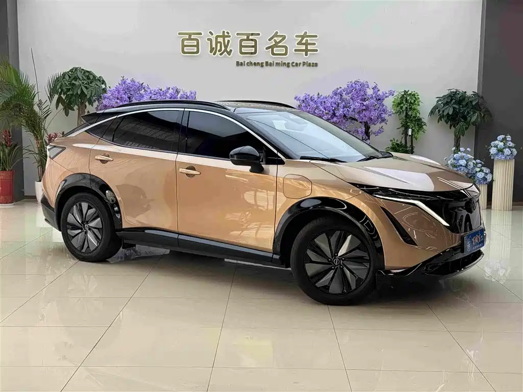Nissan Ariya — миниатюра 3
