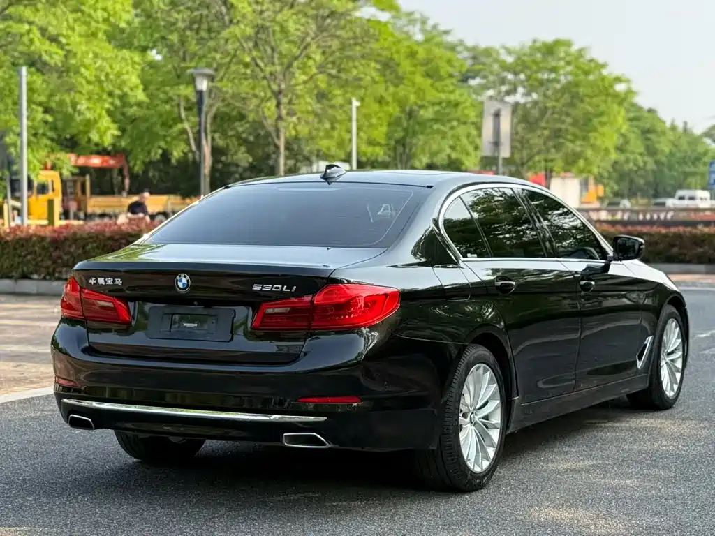 BMW 5 Series 5 2019 530Li Premium Luxury