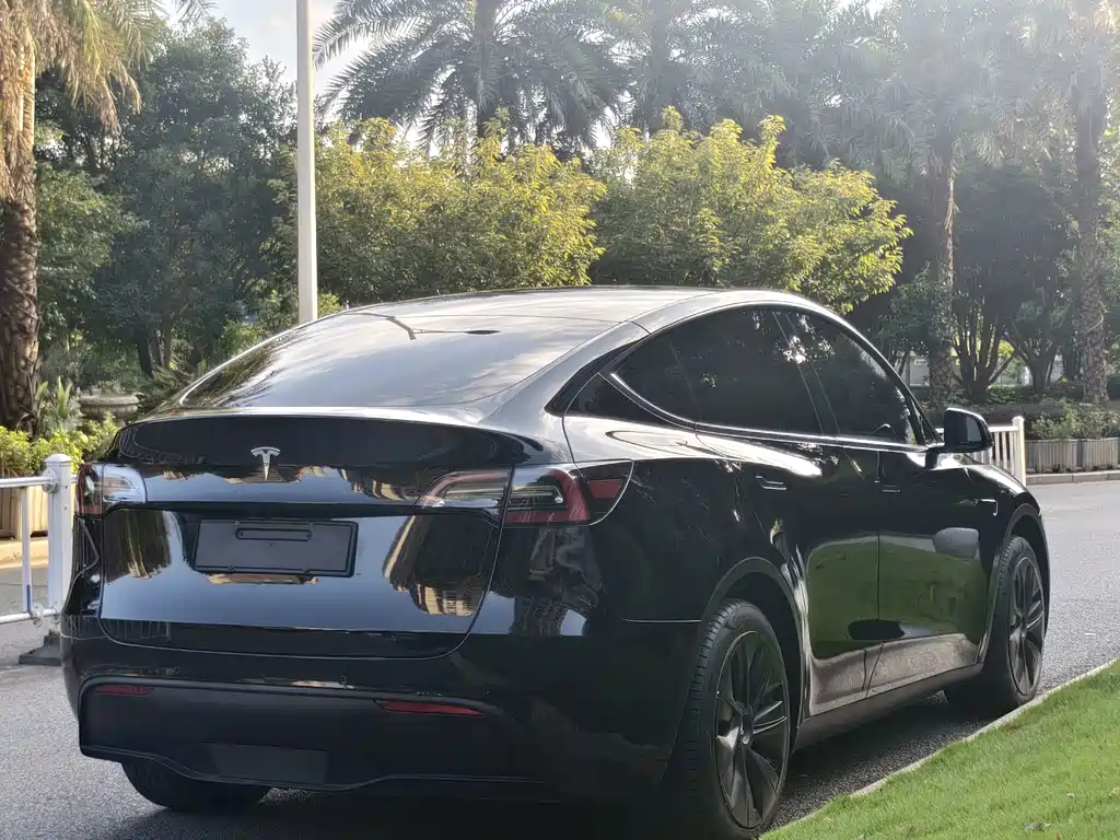 Tesla Model Y — миниатюра 7