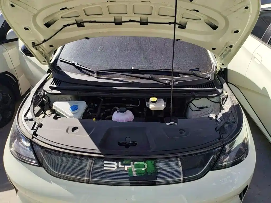 BYD Dolphin — миниатюра 20