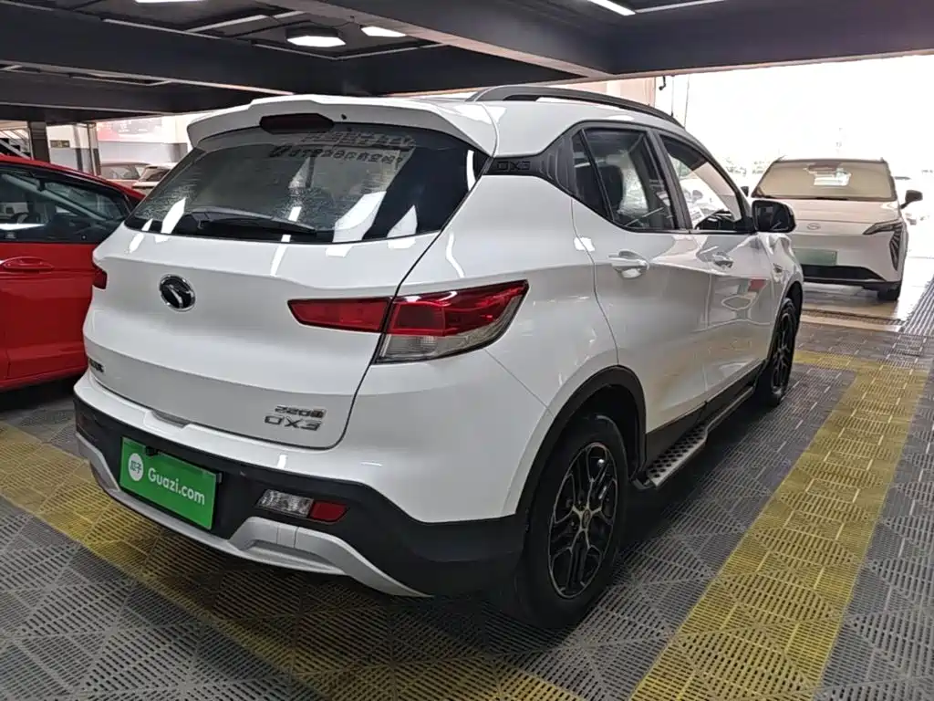 Soueast DX3 — миниатюра 7