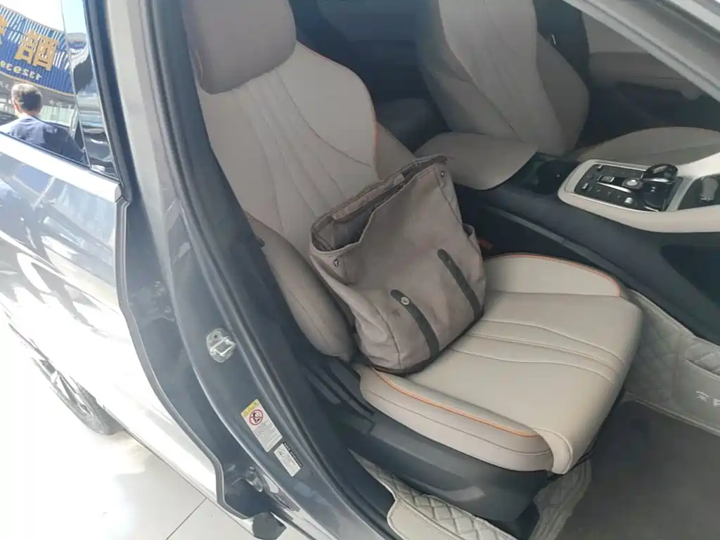 BYD Pro New Energy — миниатюра 25