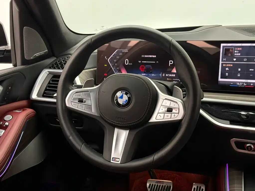 BMW X5 — миниатюра 12