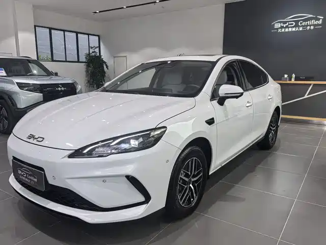 2025 BYD Sea Lion