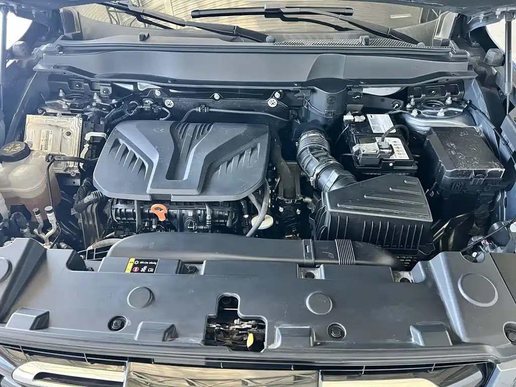 Haval 长城大狗 — миниатюра 18
