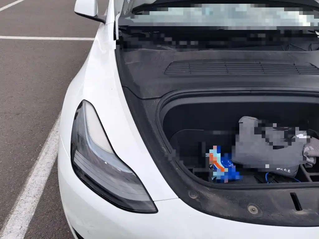 Tesla Model Y — миниатюра 19