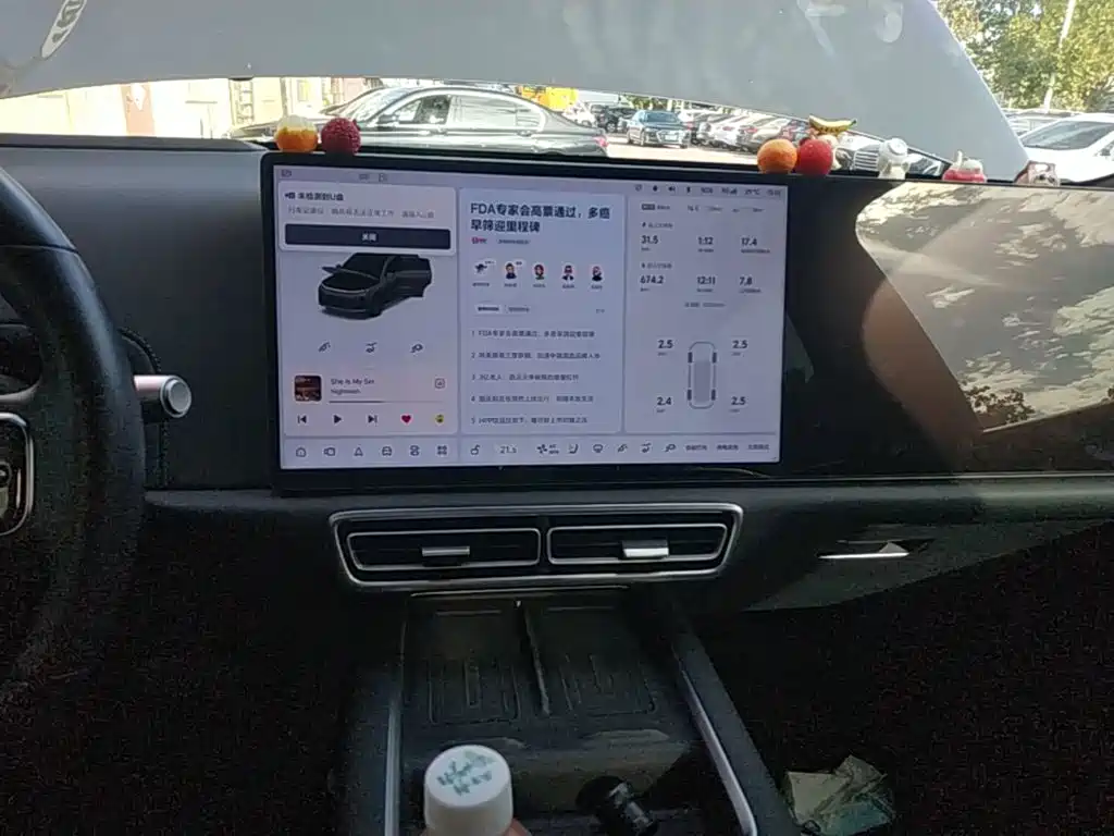 Li Auto Li L6 — миниатюра 13