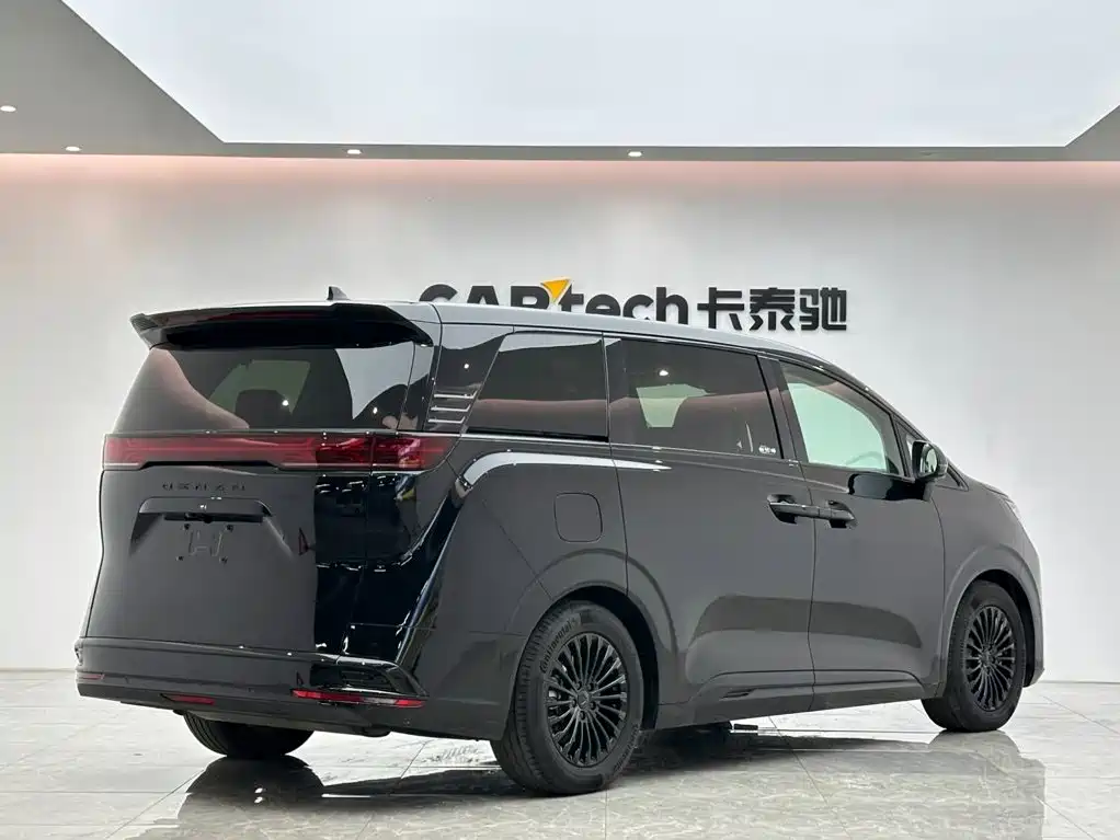 Denza Denza D9 — миниатюра 5