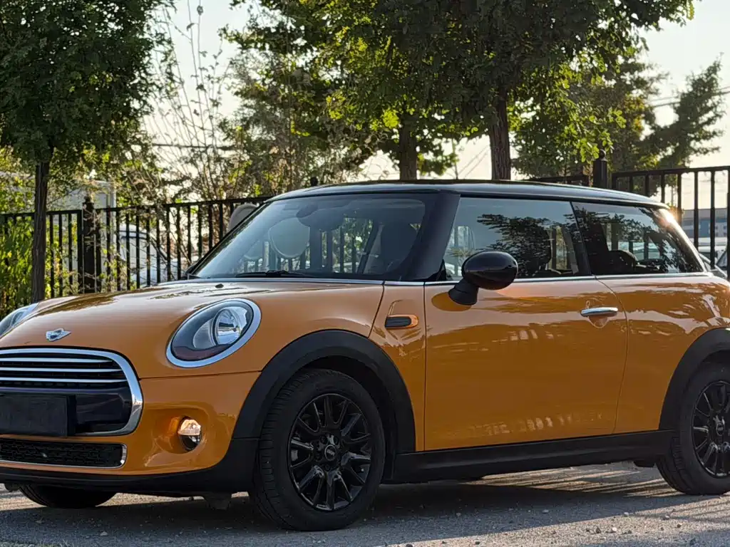 MINI