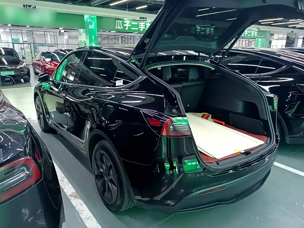 Tesla Model Y — миниатюра 5
