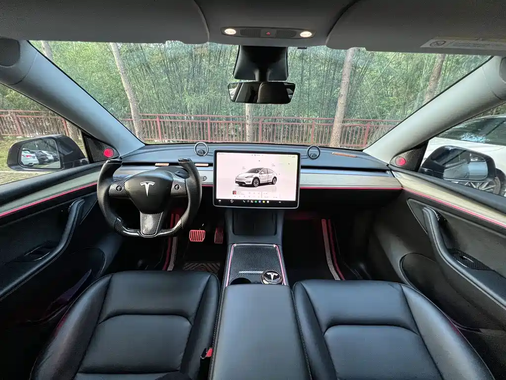 Tesla Model Y — миниатюра 5
