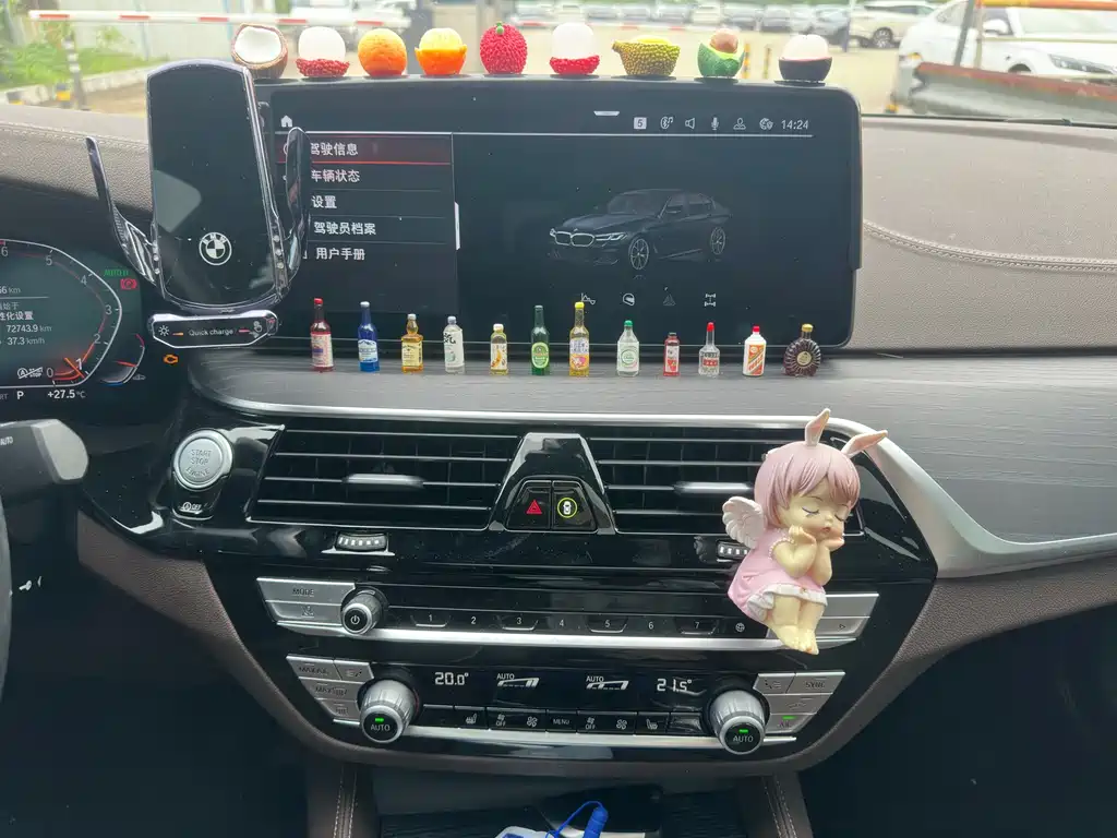 BMW 5 Series — миниатюра 3